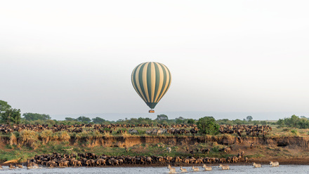 Edited+Halo+image+migration+Serengeti+Balloon+Safaris2.jpg 1