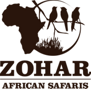 zohar-new logo-2.png 1