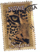 Ngwe Safari Logo.jpg