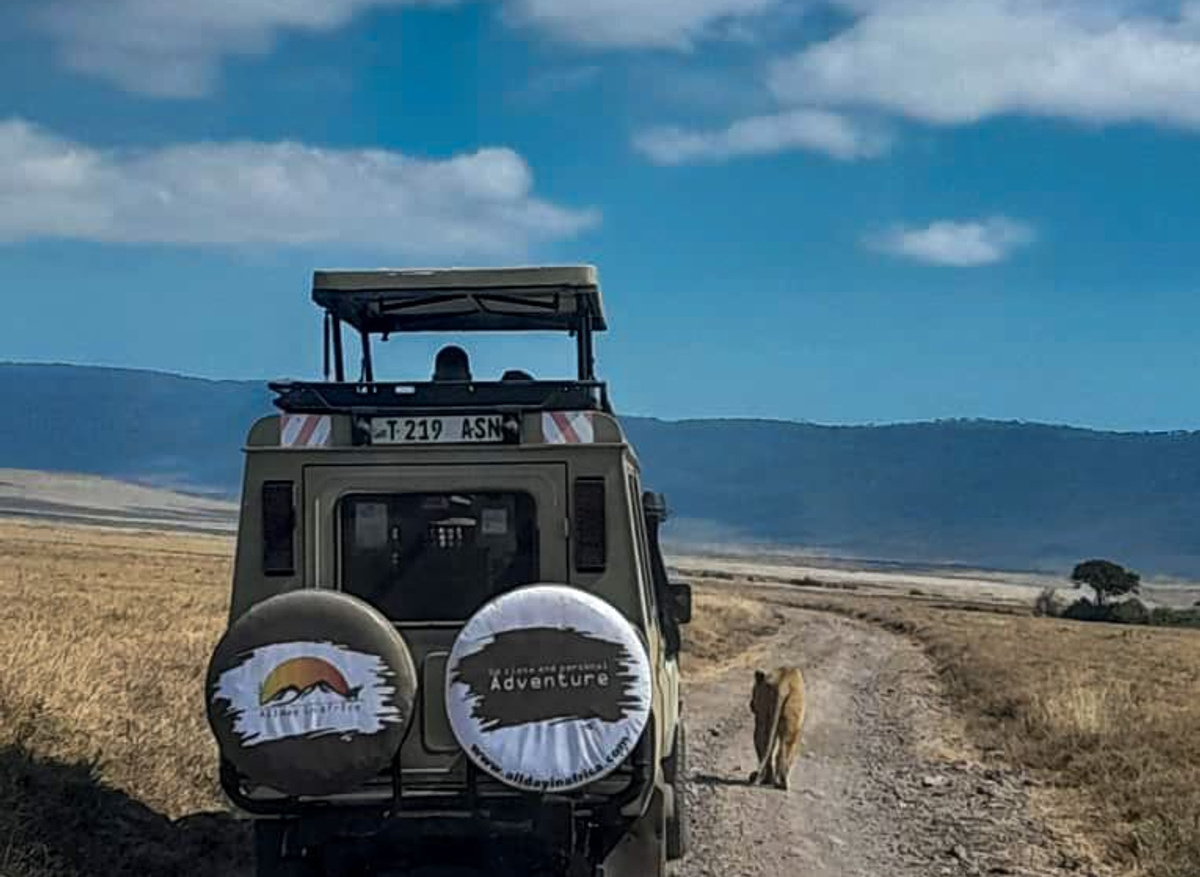 A day in the wild.jpg