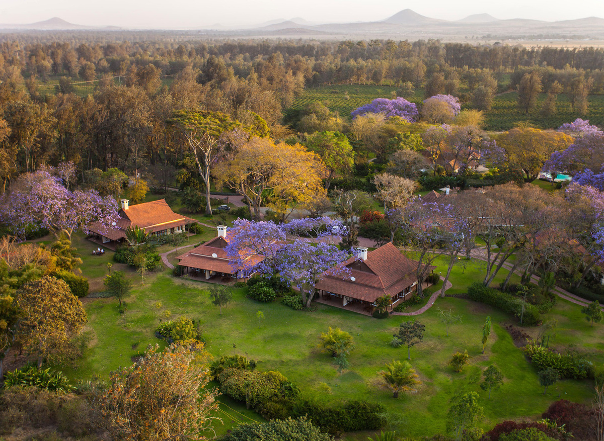 Legendary Lodge - Aerial View.jpeg