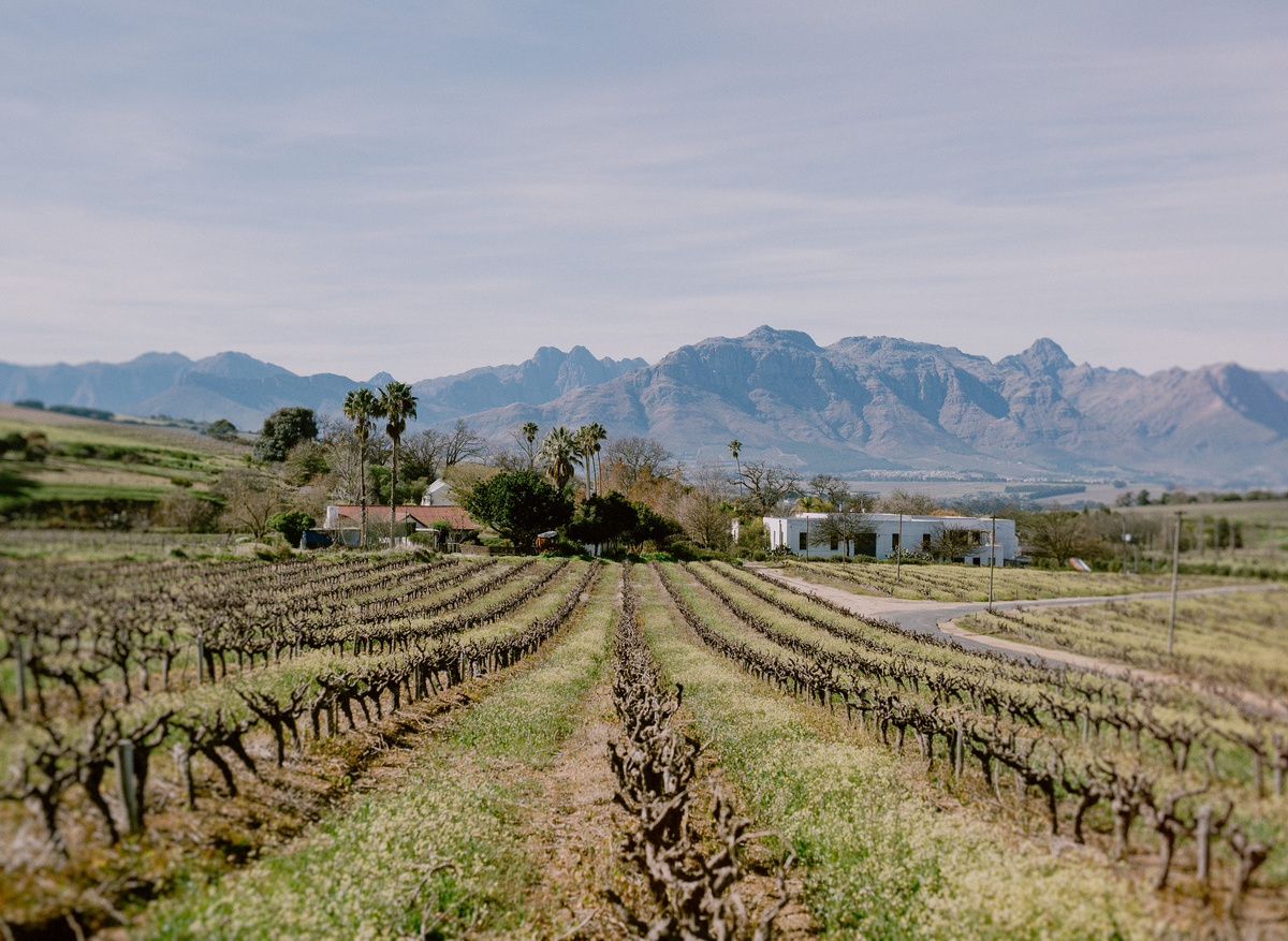 Stellenbosch_LoveWinter_Emmajanenation-0042.jpg