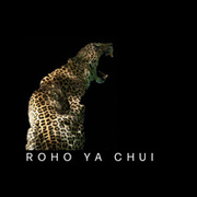 roho logo.jpg 1