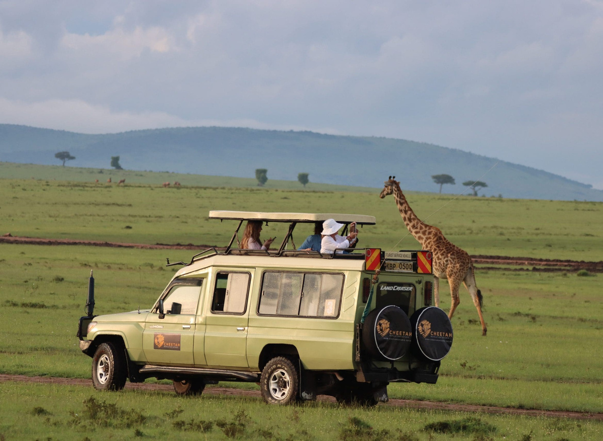 how-to-plan-the-best-african-safari-on-a-budget-in-2023-cheetah-safaris-9-scaled (1).jpg