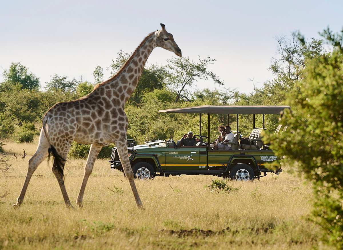 Game Drives