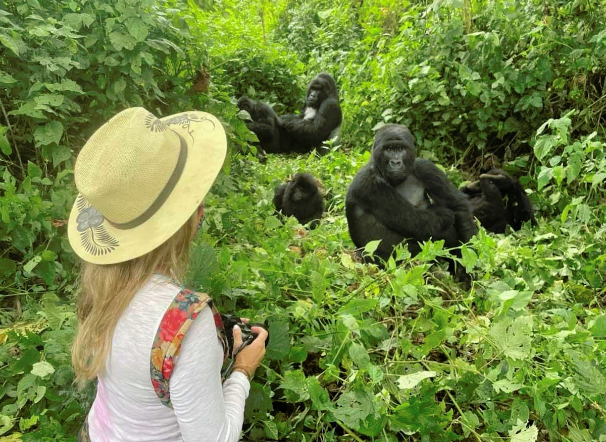 Gorilla Trekking Experience – Bwindi Impenetrable Forest, Uganda