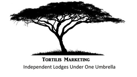 Tortilis Marketing logo.jpg