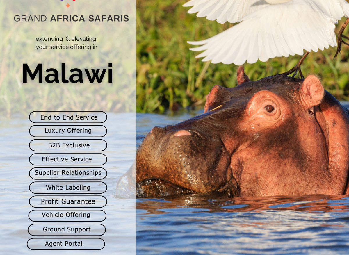 12E9A020-E4E5-4071-B3D1B6675C22BA35_8