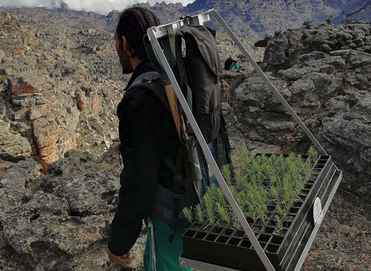 128-Cedar Sapling Backpack.jpg