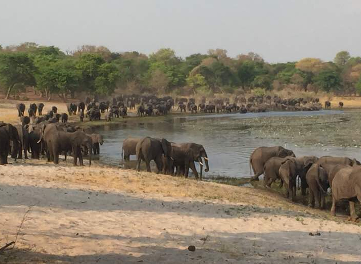 Horseshoe Bend - Sundowner Spot