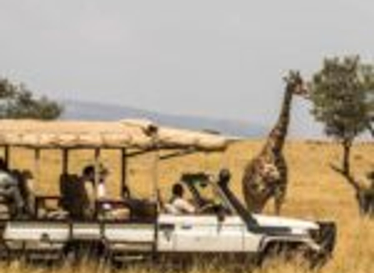 open converted 4x4's.jpg