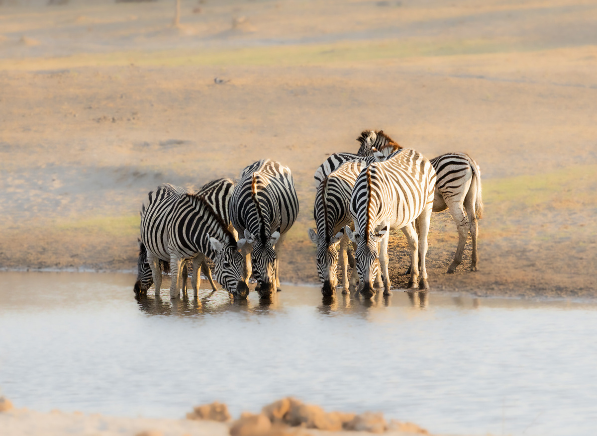 36713CA3-72C8-43B2-977BF38F7A049E30_13