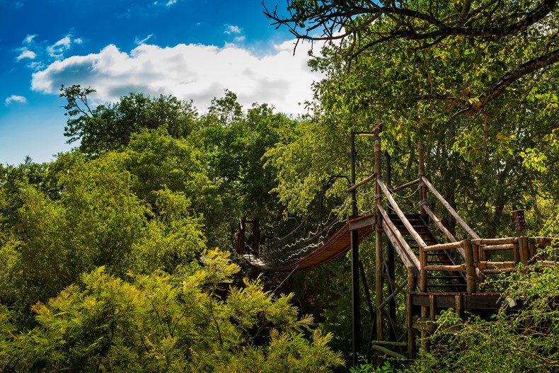 Ulusaba Safari Lodge walkway 2.jpg