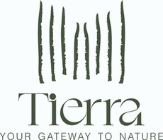 Tierra Full Logo Green.jpg