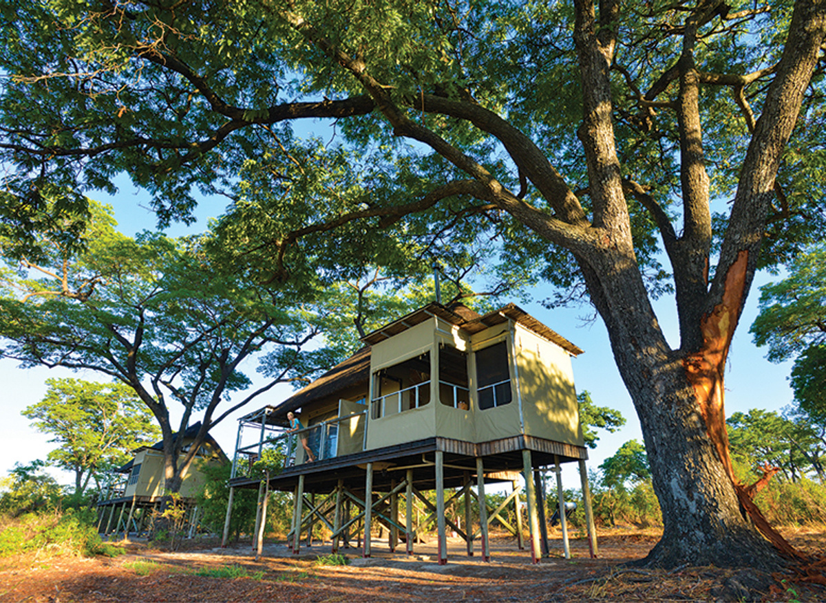 Elephant’s Eye Tented Camp, Hwange
