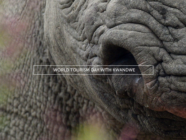 World+Tourism+Day.png