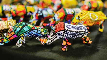 vije-vijendranath-edLKcfYK-gk-unsplash copy.jpg