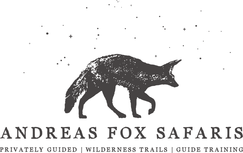8067-andreas-fox-logo-transparent-background.png