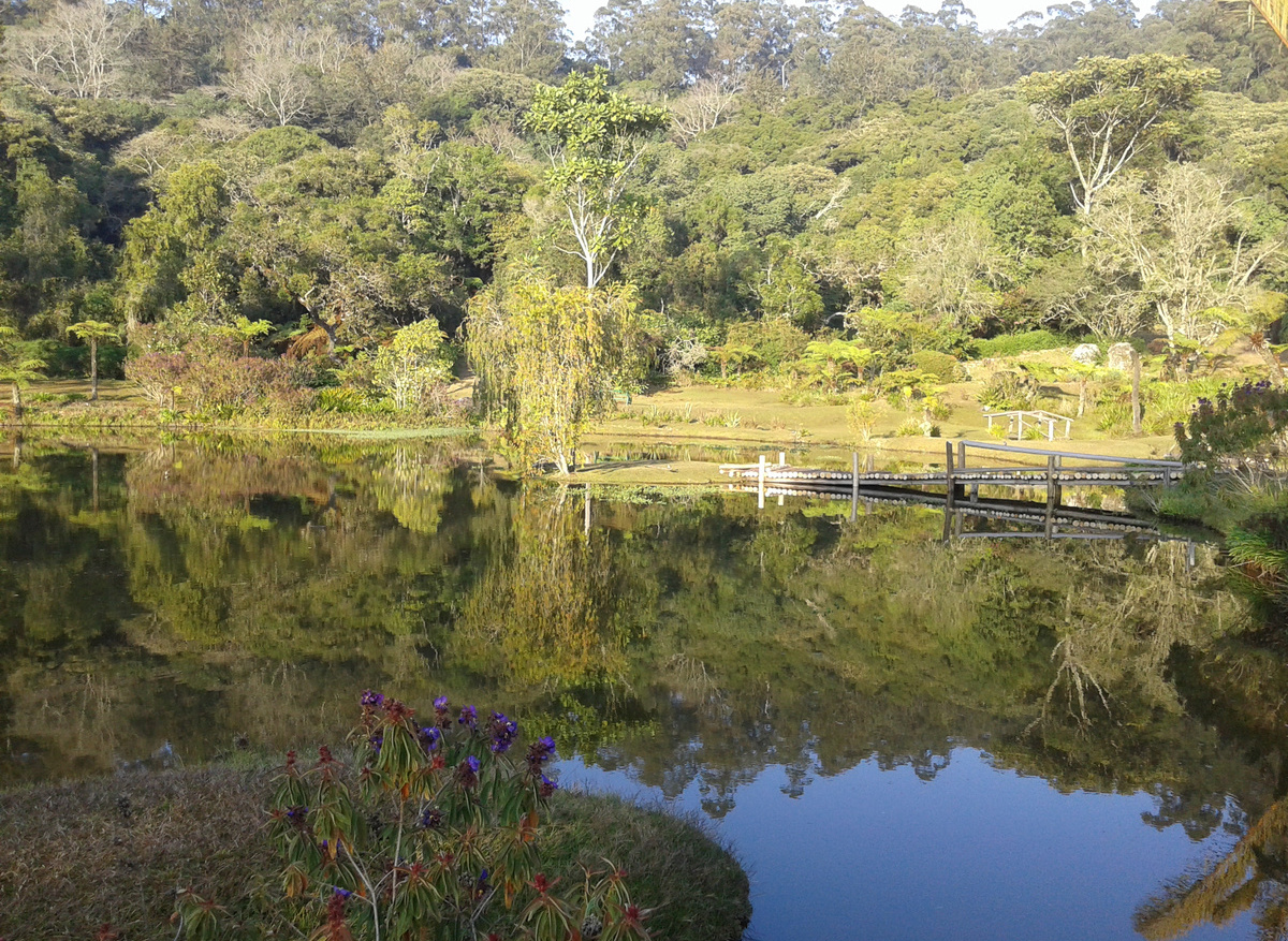 Vumba Botanical Gardens Eastern Highlands