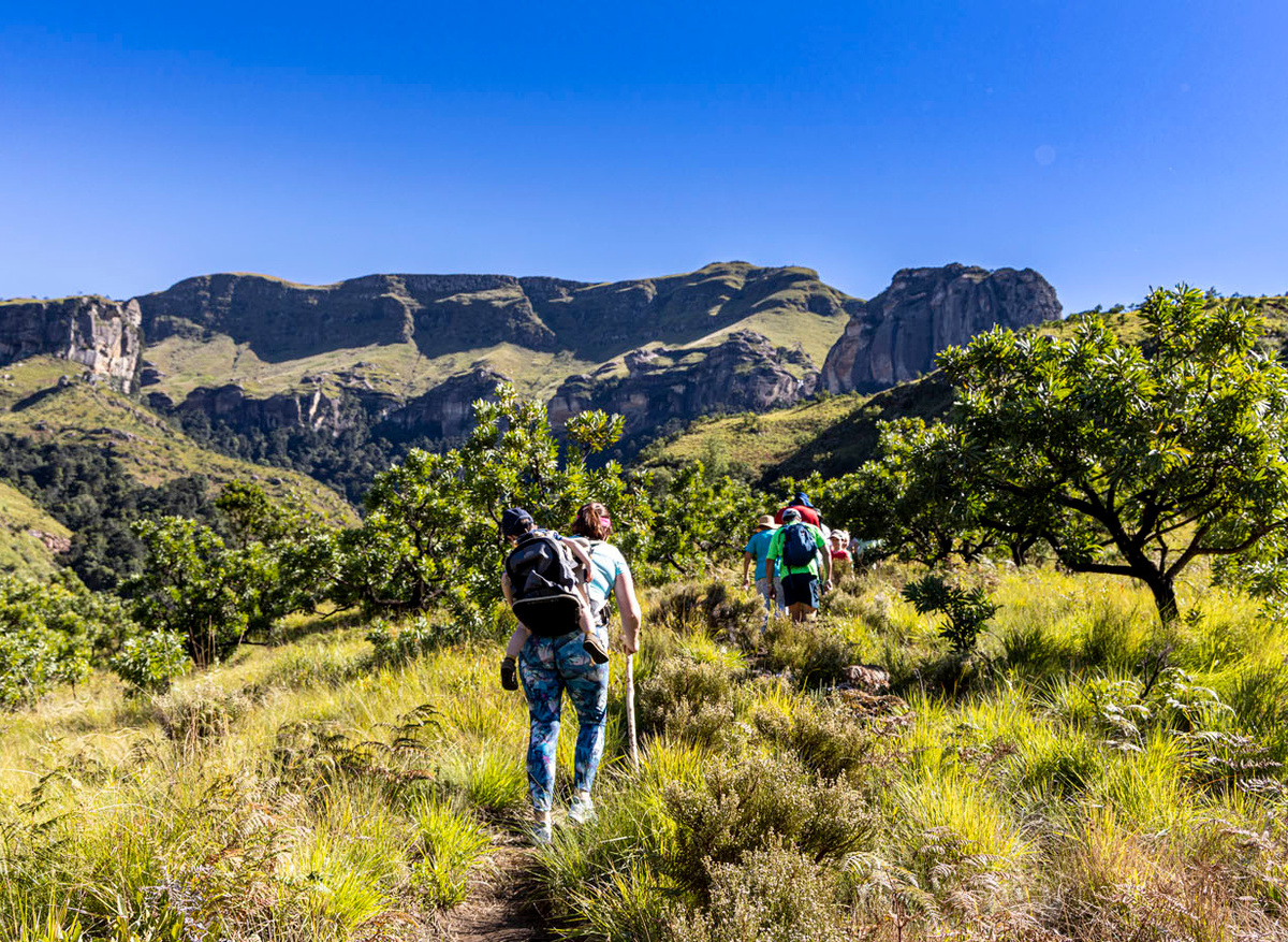 Carte Collection - Trekking