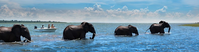 7. Bumi Hills Safari Lodge_Lake Kariba_Zimbabwe_Luxury Safari Lodge_Water_Game Viewing_Boat_Elephants_ African Bush Camps (89).jpg