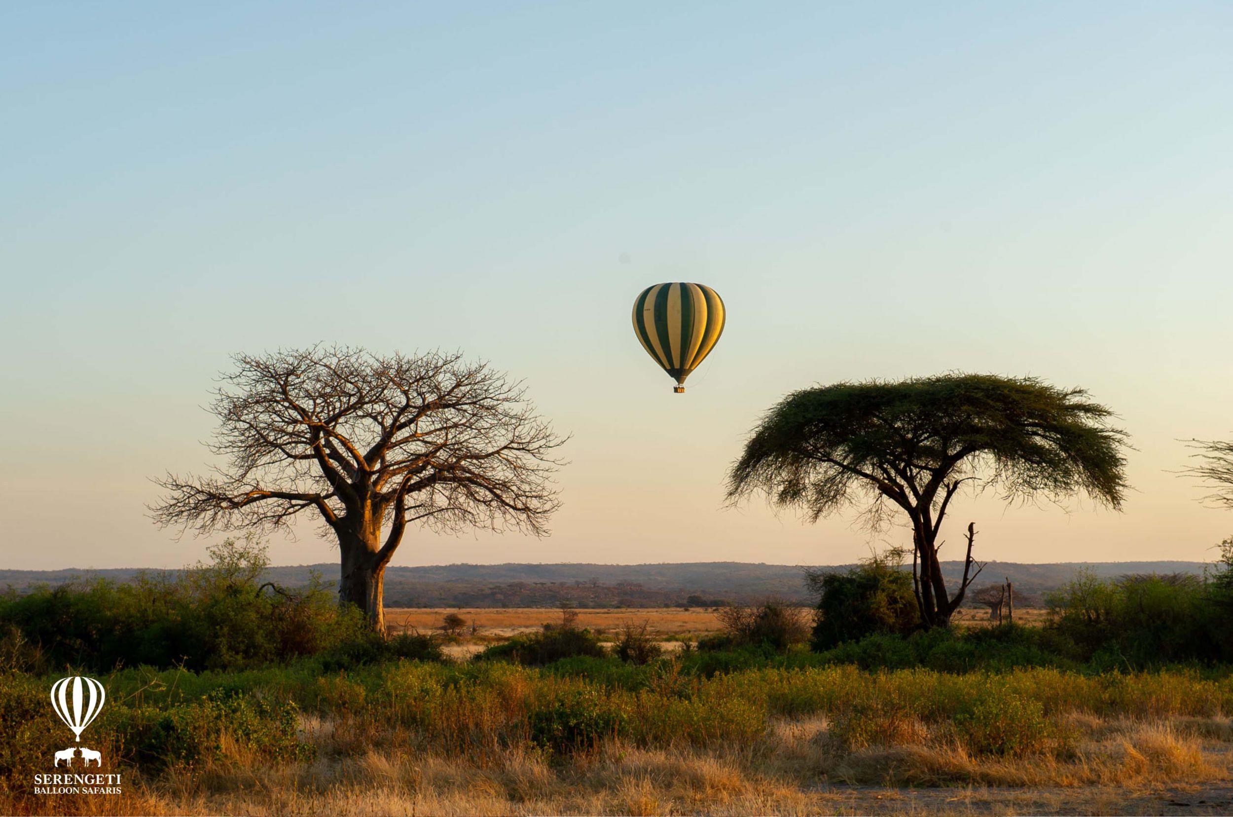 Serengeti+Balloon+Safaris+Tarangire+2024.jpg