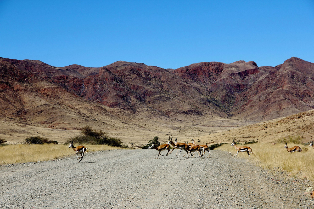 Namib-Naukluft Park.jpg 1