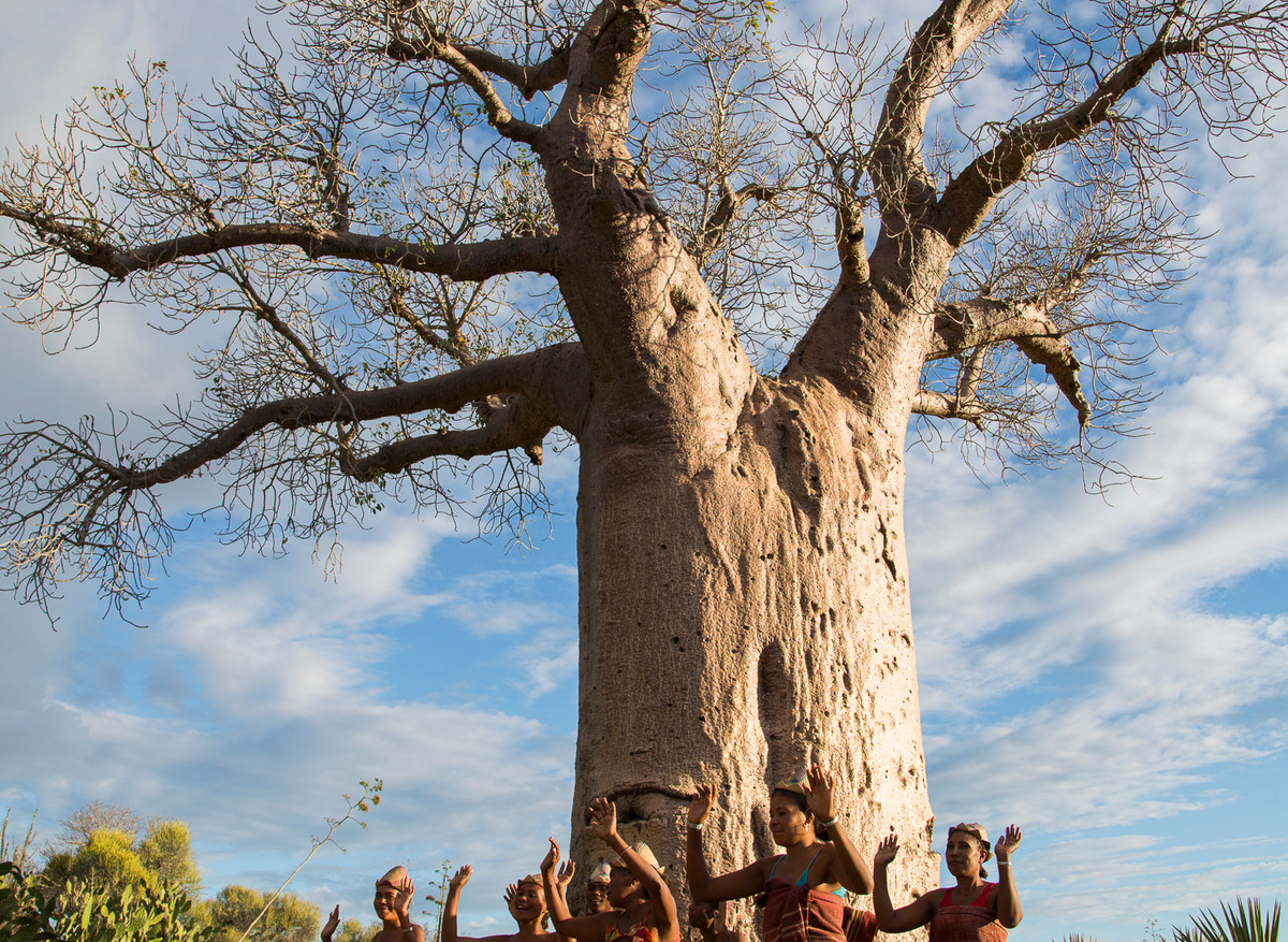 Mandrare River Camp - Music and Dance (12).jpg