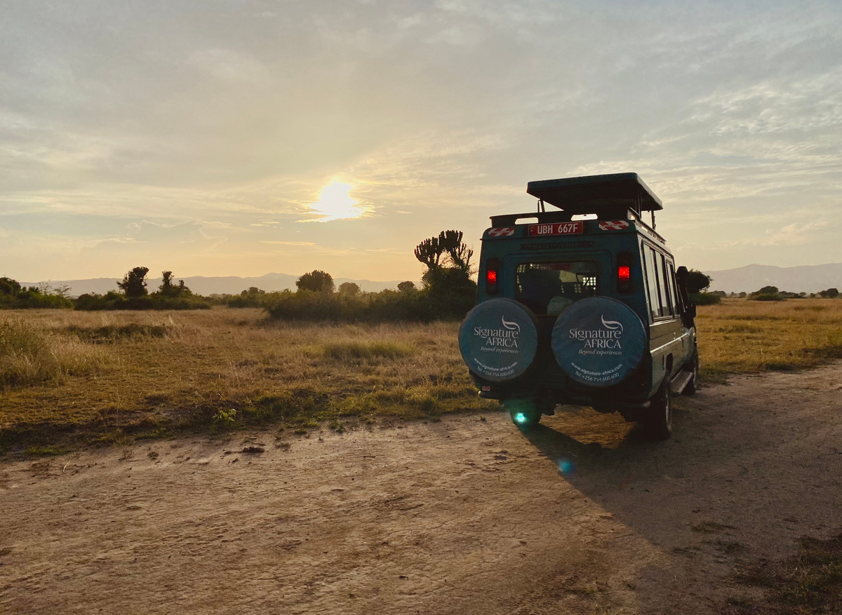 Safari Landcruisers