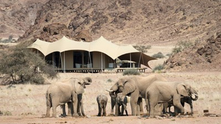 Hoanib_Skeleton_Coast_2014-08-316.jpg