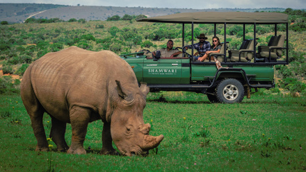Shamwari Private Game Reserve Vehicle & Rhino .jpg
