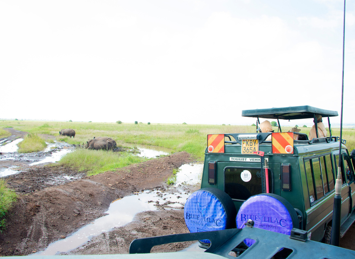 Game Drives 2.JPG
