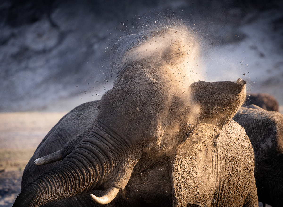 36713CA3-72C8-43B2-977BF38F7A049E30_12