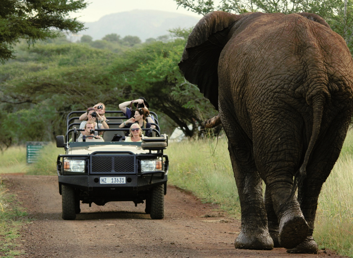 Ivor van Rooyen (12).jpg