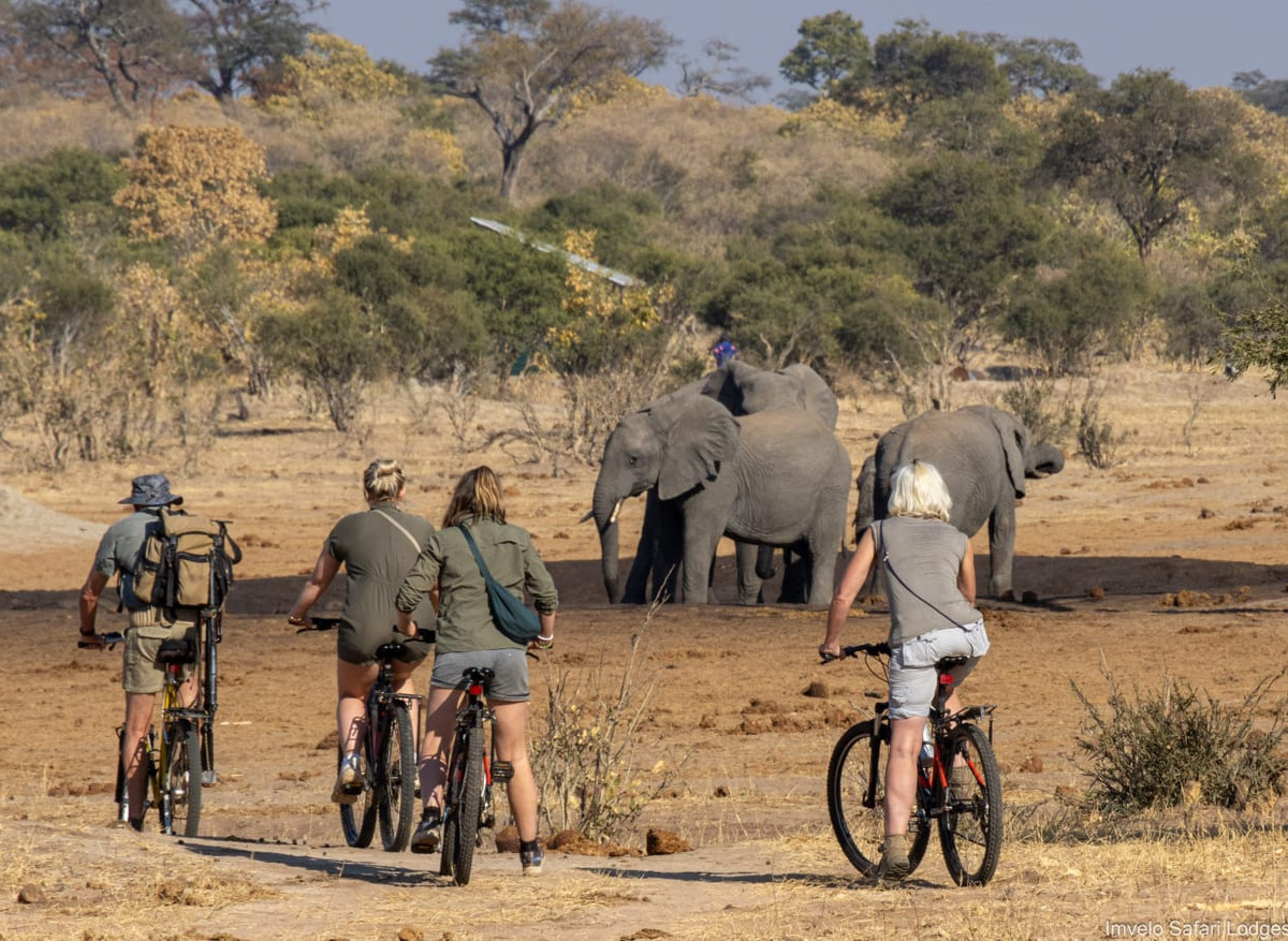 Jozibanini Camp