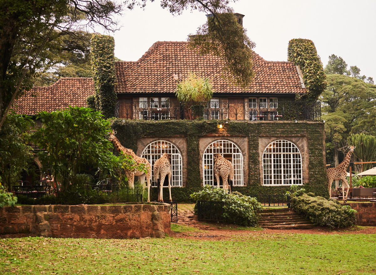 Giraffe Manor 
