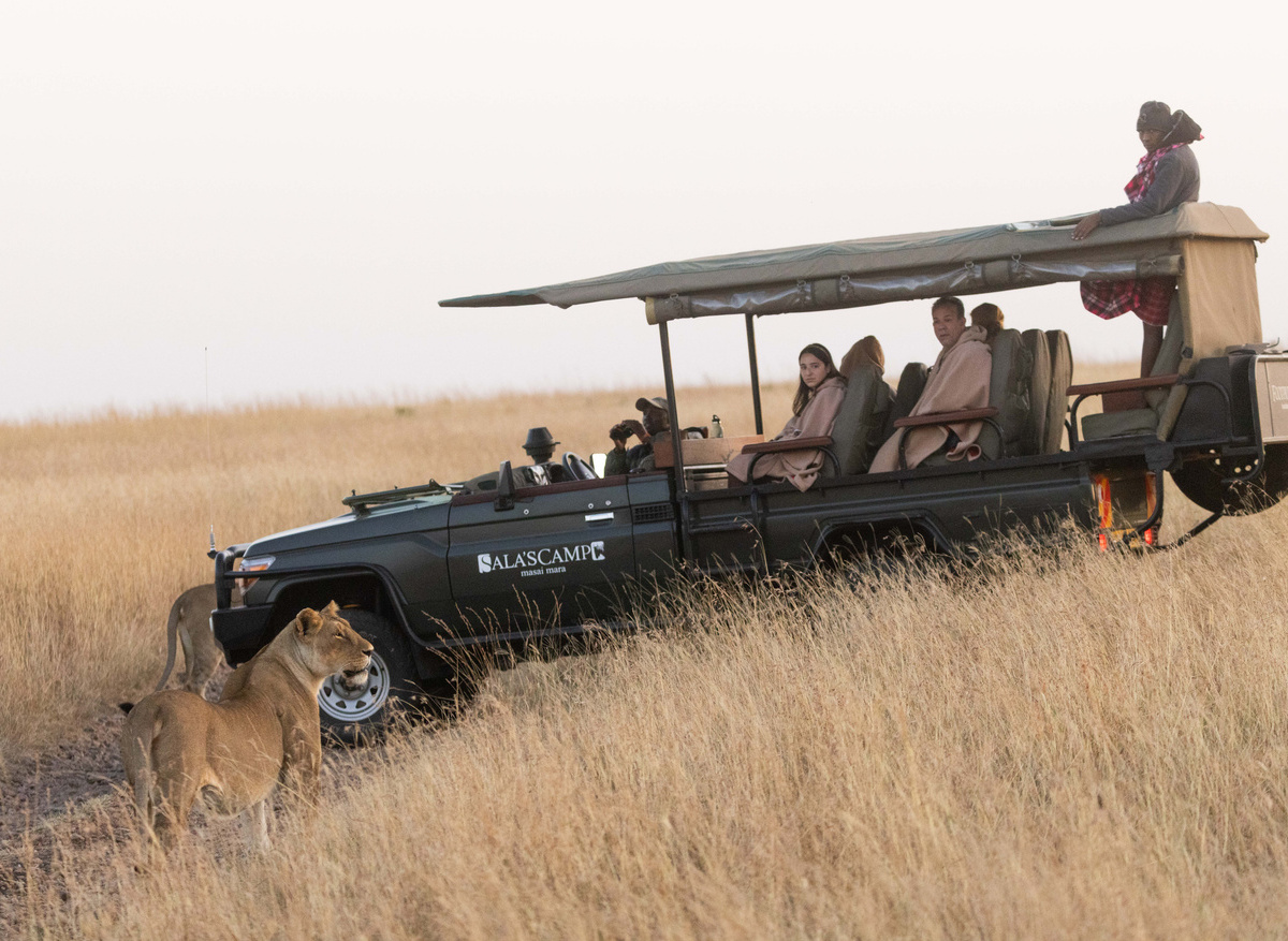 Game Drives at Sala's Camp