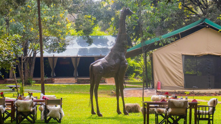 Nairobi Tented Camp .jpg