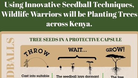 SeedBall for Warriors Earth Day.jpg