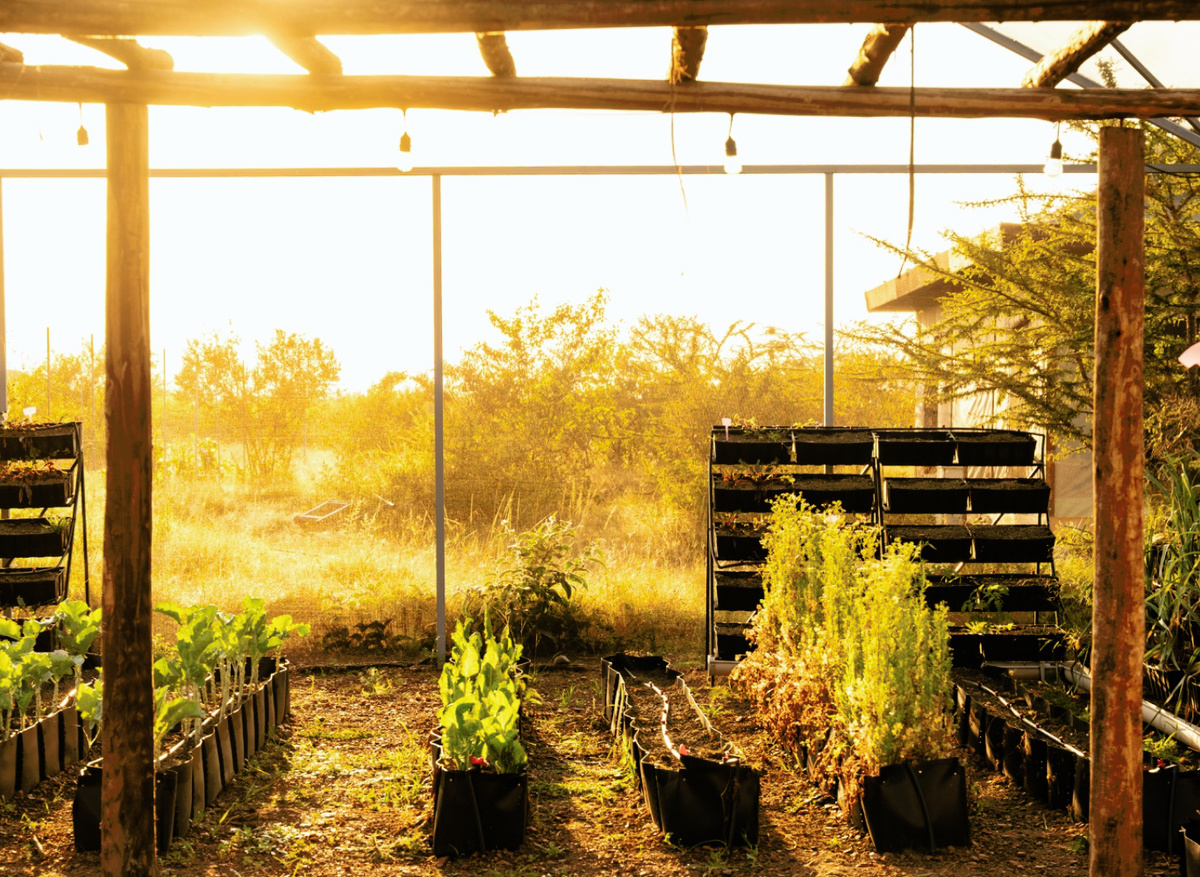 WhatsApp Image 2025-09-14 at 6.37.32 PM (1).jpeg