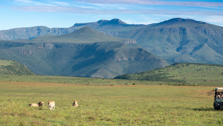 samara-mara-lions-mountain-landscape-vehicle-marnus-ochse+copy.jpg