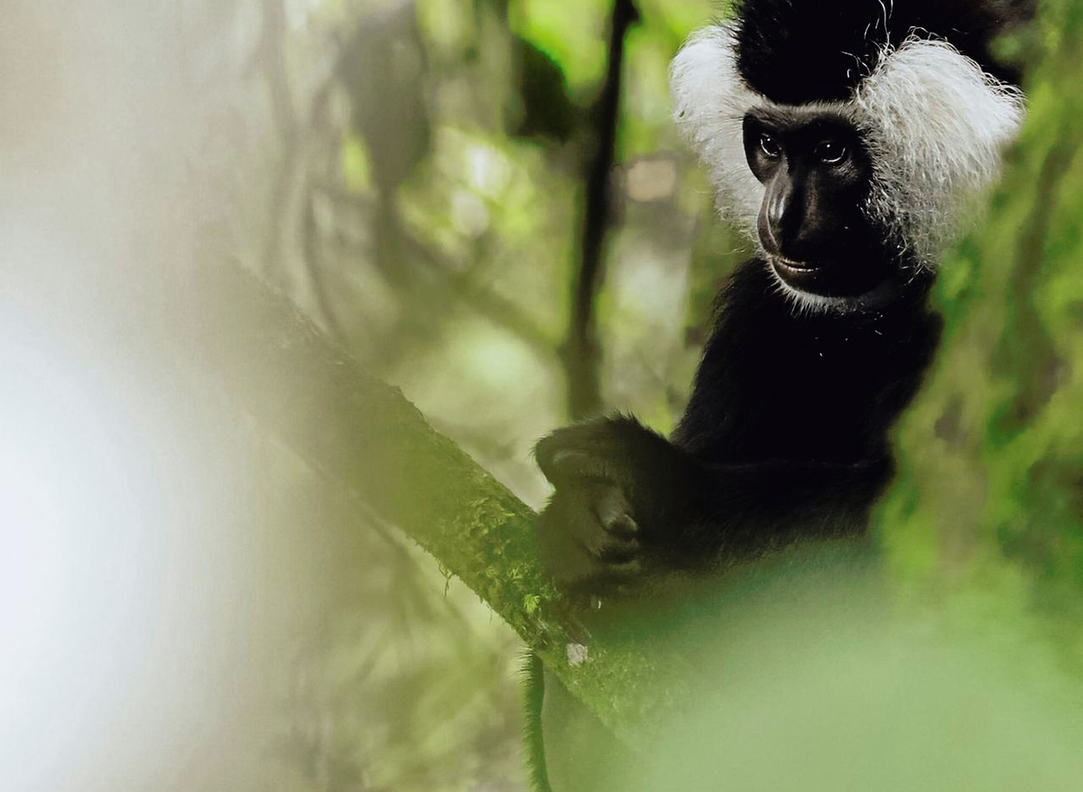 WhatsApp Image 2026-02-09 at 11.17.38.jpeg