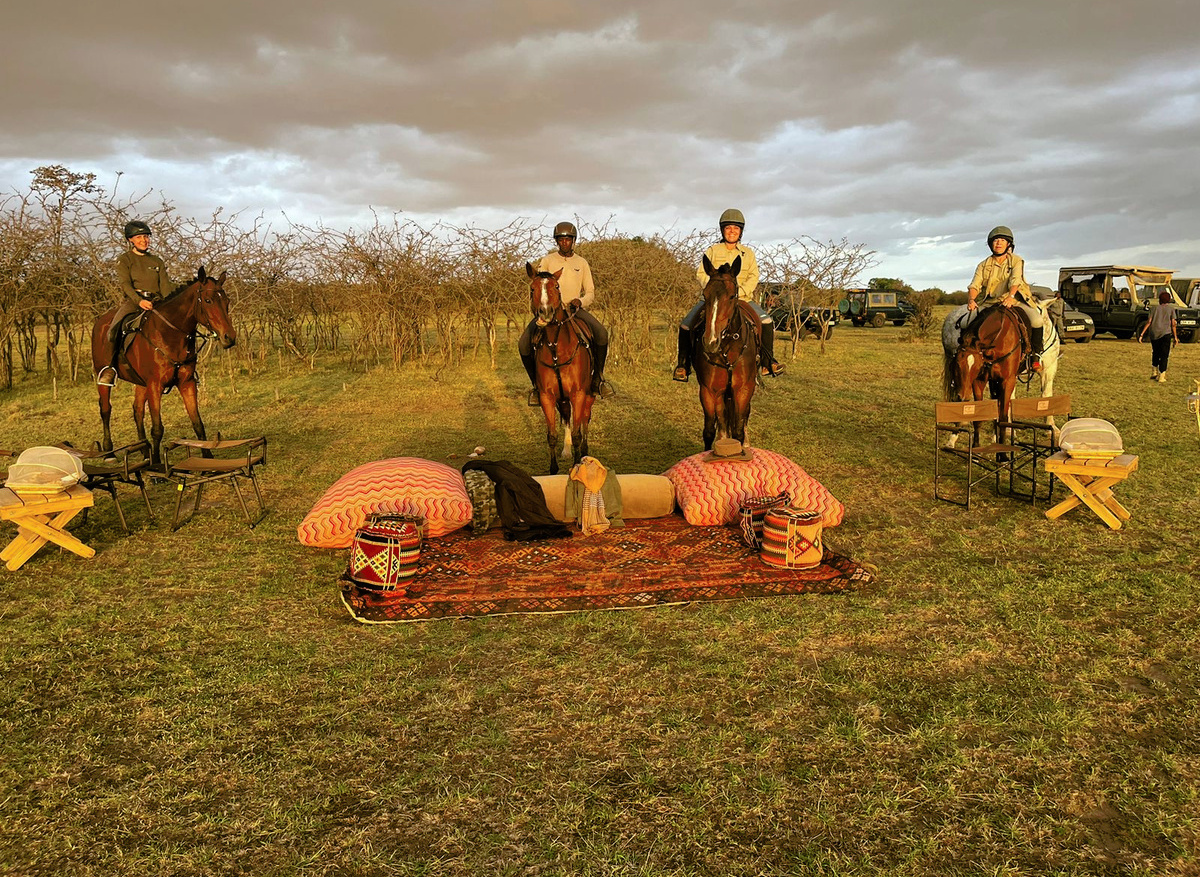 Safari Revive Horse Riding Experience