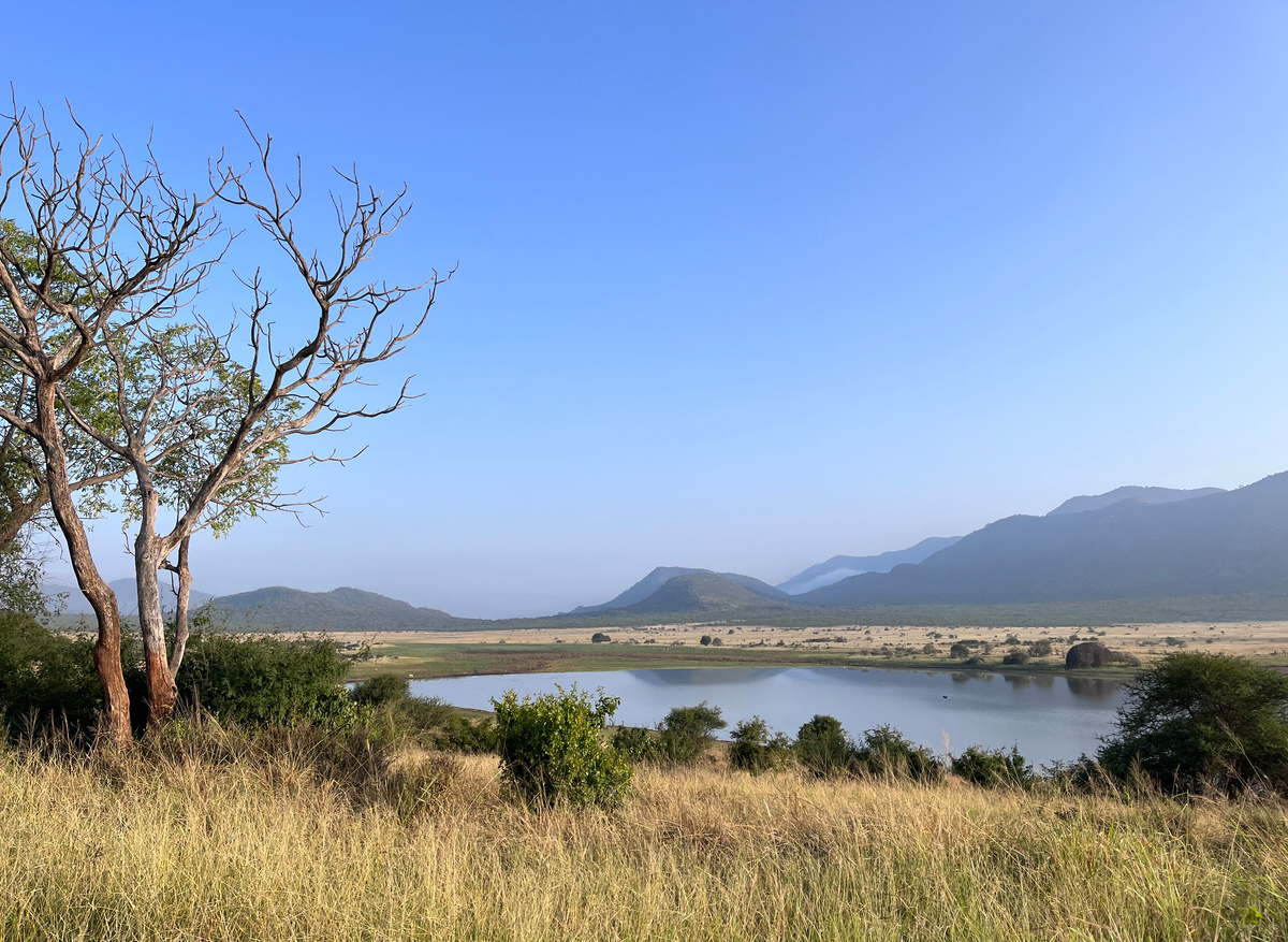 Dindira Dam - Mkomazi National Park