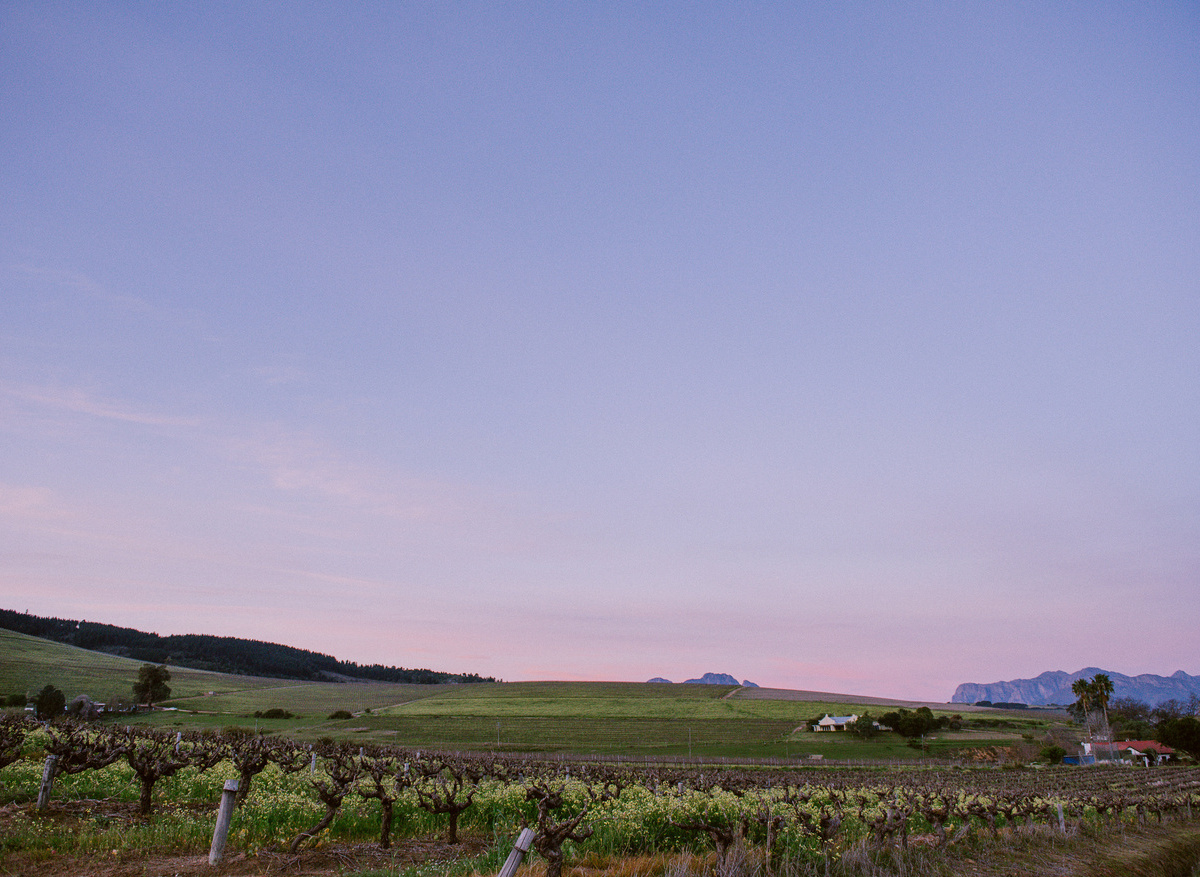 Stellenbosch_LoveWinter_Emmajanenation-0078.jpg