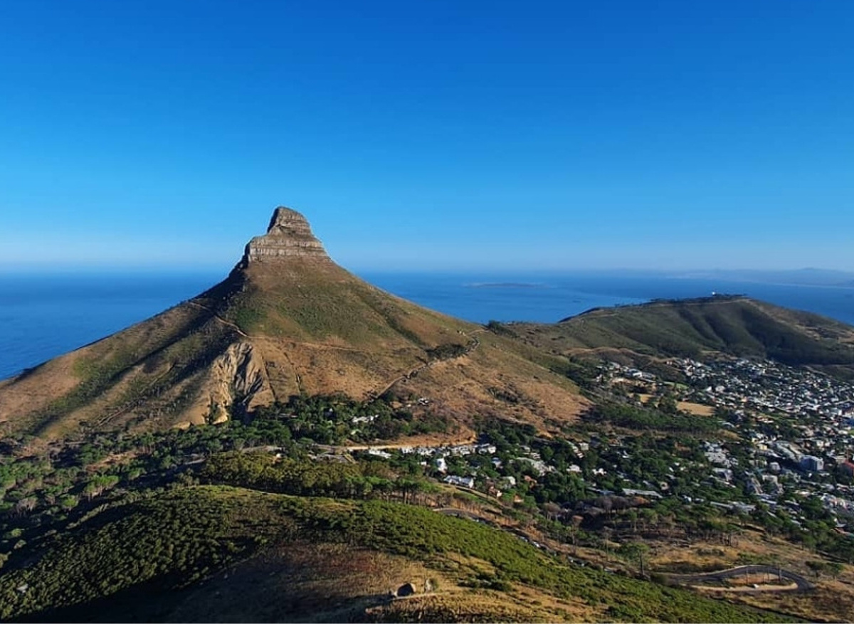 CHAINS & LADDERS - LION'S HEAD.jpg