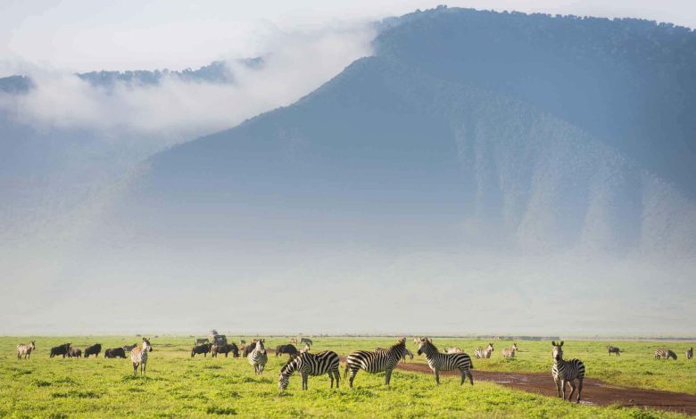 NGORONGORO-780x470.jpg