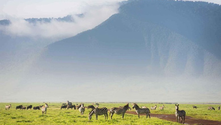 NGORONGORO-780x470.jpg