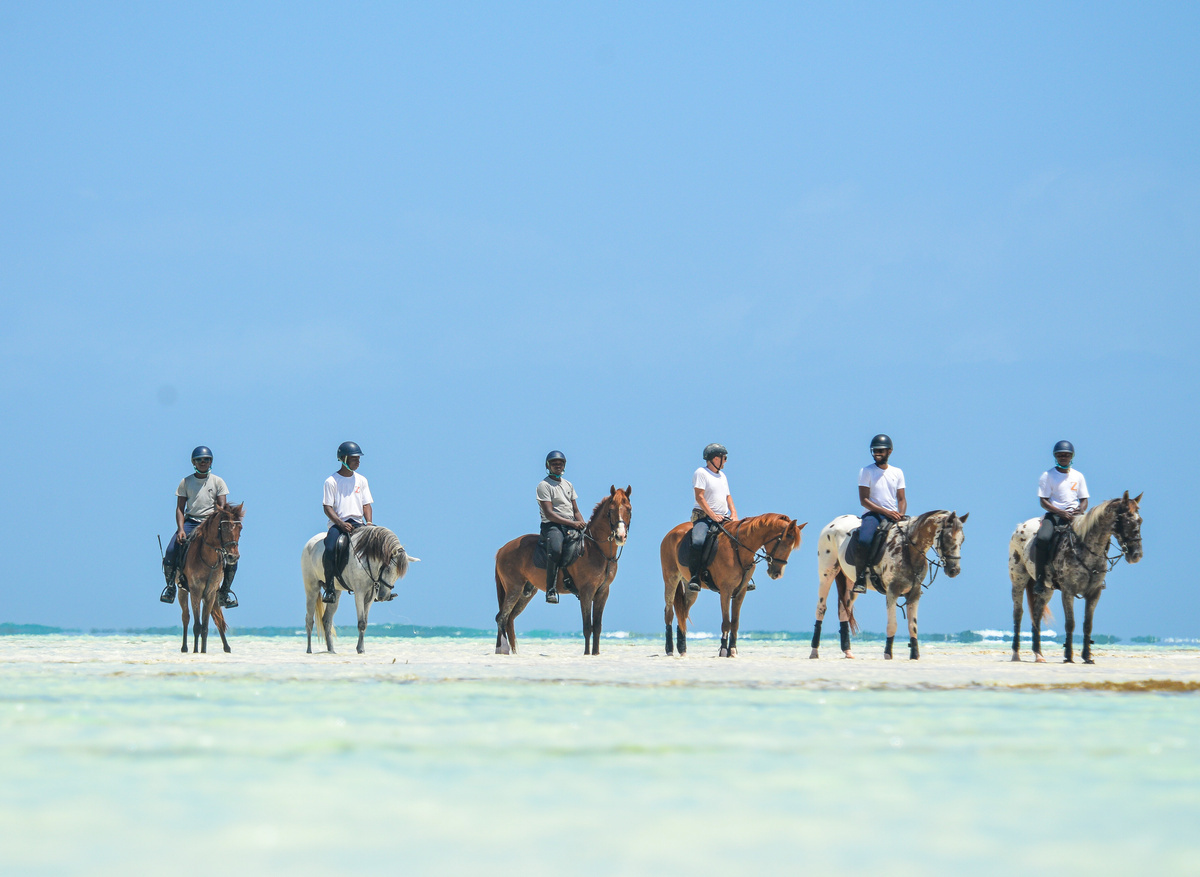 Zanzibar Horse club