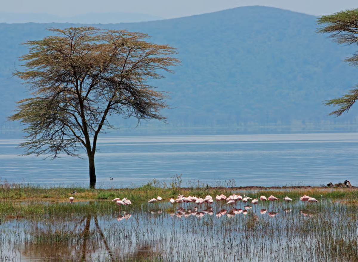 Lake Nakuru National Park Scenic View